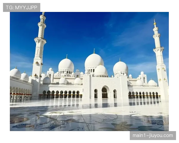 谢尔维坦言拒绝金钱诱惑选择迪拜是为给孩子更好成长环境